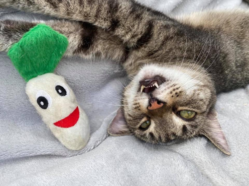 127138871 3674654375974675 5165786664566279883 n