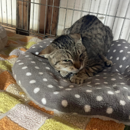 277675014 5205238882916209 599351159998852918 n