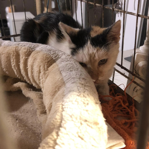 307276120 5683018178471608 4344212023542068745 n