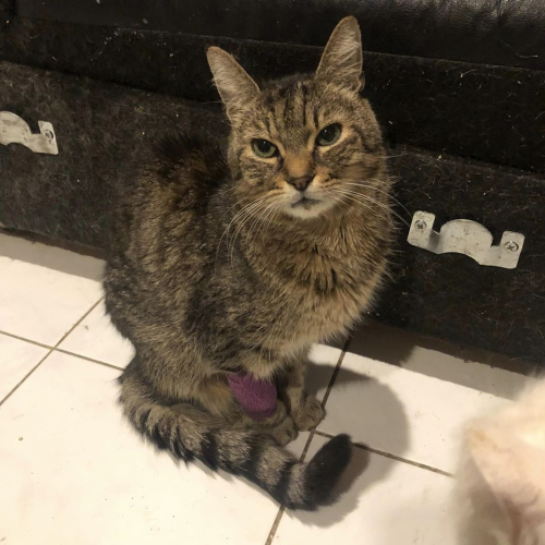 317609773 441483621491243 4603928994663477214 n